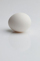 White egg lays on a light background
