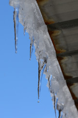 Snow and icicles hanging over the roof's edge against clear blue skies