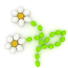 Eggs in the shape of a flower. Unique Design