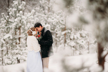 couple in a pine forest