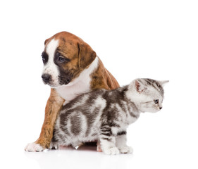 Cat and dog looking every which way. isolated on white backgroun