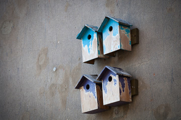 Wohnungsbau für Mensch und Tier 