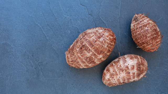 Colocasia esculenta / Taros sur ardoise... carte menu