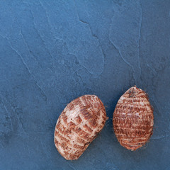 Colocasia esculenta / Taros sur ardoise... carte menu