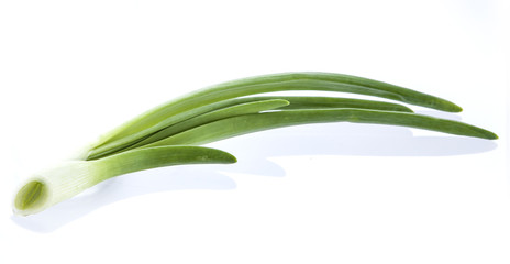 Green onion isolated on white background