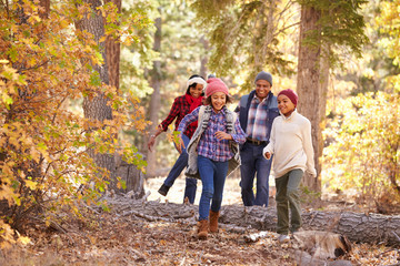 Grandparents With Children Walking Through Fall Woodland - Powered by Adobe