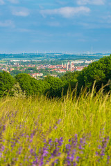Blick auf Naumburg und Naumburger Dom im Sommer, Burgenlandkreis in Sachsen-Anhalt