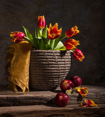 Beautiful tulips and red apples