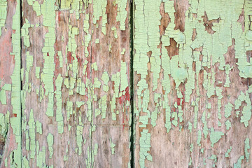 rustic weathered barn wood background with knots and nail holes
