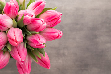 Obraz premium More tulip on the grey background.