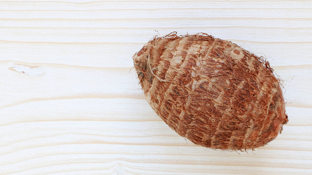 Colocasia esculenta / Taro sur bois... carte menu