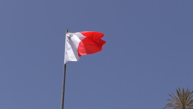National red and white colour and St George cross flag of Malta waving on the pole against blue sky. There is a palm tree top in the frame corner