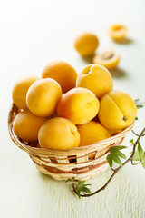 Fresh apricots in rustic basket