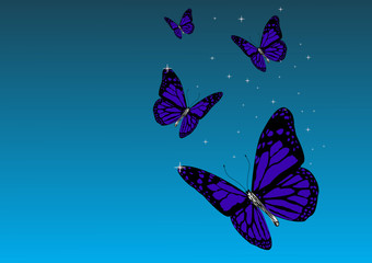 Beautiful blue butterflies on the blue background
