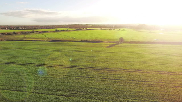 Aerial moving view over new crop growth in a field at sunrise on a clear day