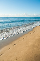 Footsteps leading to the horizon on the beach
