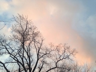 early morning pink clouds