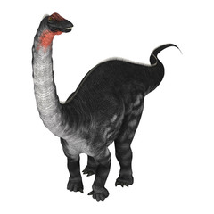 Dinosaur Apatosaurus on White