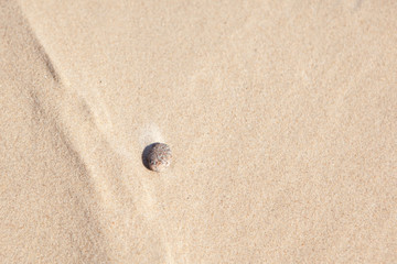 Fototapeta na wymiar stones on the sand by the sea, sea sand
