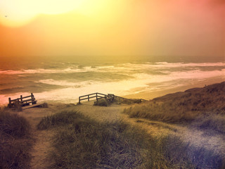 Fototapeta premium Lonely footpath through a beach dune landscape on Sylt. Beach scene with sunset on a beach of Sylt.