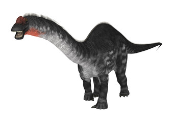 Dinosaur Apatosaurus on White