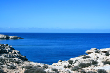 Fototapeta na wymiar Rough coastline with dry vegetation and deep blue sea