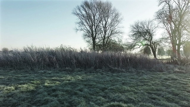 Panning through a frost covered park in winter with a sunrise streaking through the trees