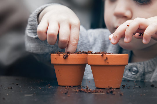 Child planting seeds in pots
