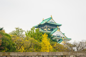 Osaka castle in Osaka Japan