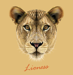 Fototapeta premium Lioness animal cute face. Vector African wild lion cat head portrait. Realistic fur portrait of lioness isolated on beige background.