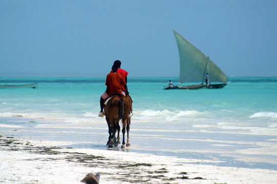 Africa,Tanzania,isola di Zanzibar