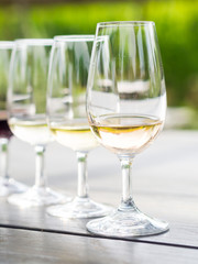 Wine tasting in Stellenbosch