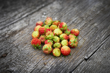 Bunch of red wild strawberry