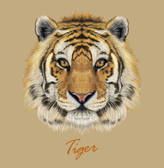 Fototapeta na wymiar Tiger animal face. Vector Bengal head portrait. Realistic fur beast of tiger. Predator eyes of wildcat. Big cat head on beige background.
