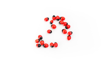  Precatorius (Abrus precatorius)