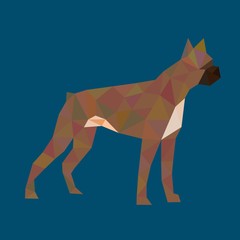 Obraz premium polygon boxer dog