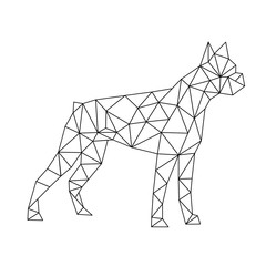 polygon boxer dog, black and white vector