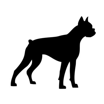 boxer dog, silhouette
