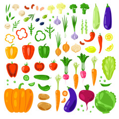 Set vector vegetables and herbs.