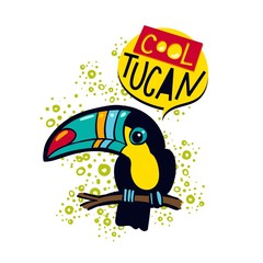 The phrase cool and colorful toucan toucan bird on a branch in the jungle.