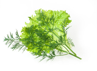 Fresh salad, parsley, dill on white background