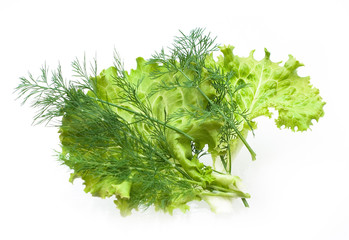 Fresh salad, parsley, dill on white background