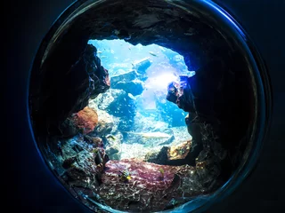 水族館　イメージ © vanhop