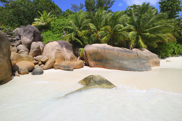Strand Anse Lazio, Praslin, Seychellen, Afrika, Indischer Ozean