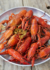 Cooked crayfish on a plate,close up