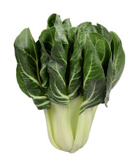 Mangold Spinat © gradt