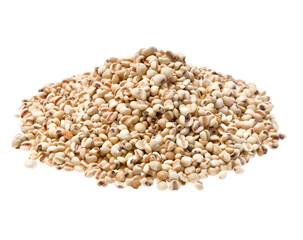 millet isolated on white background