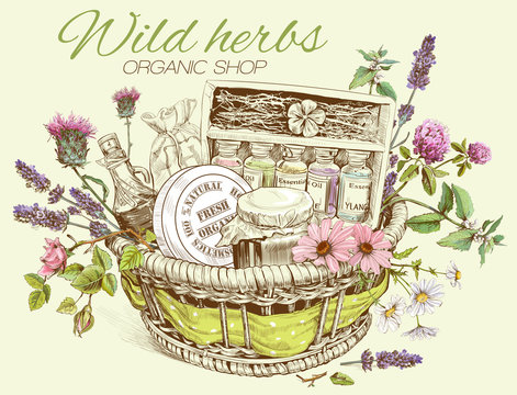 Vector vintage template illustration of hand-drawn basket with wild flowers, herbs and natural products. Design for cosmetics, store, beauty salon, natural and organic products.