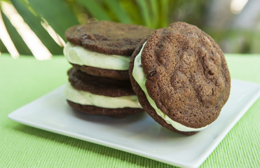 Double Chocolate Chip Mint Ice Cream Sandwich