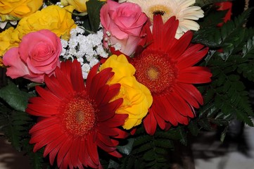 Gerbera with yellow roses and pink. Floral background natural mix.